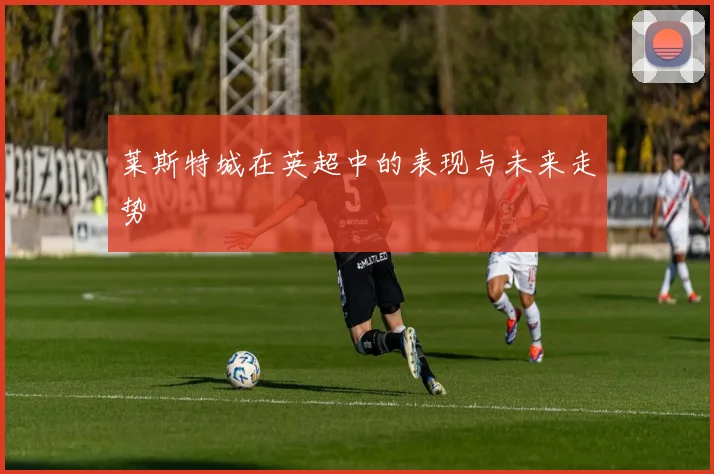 莱斯特城在英超中的表现与未来走势