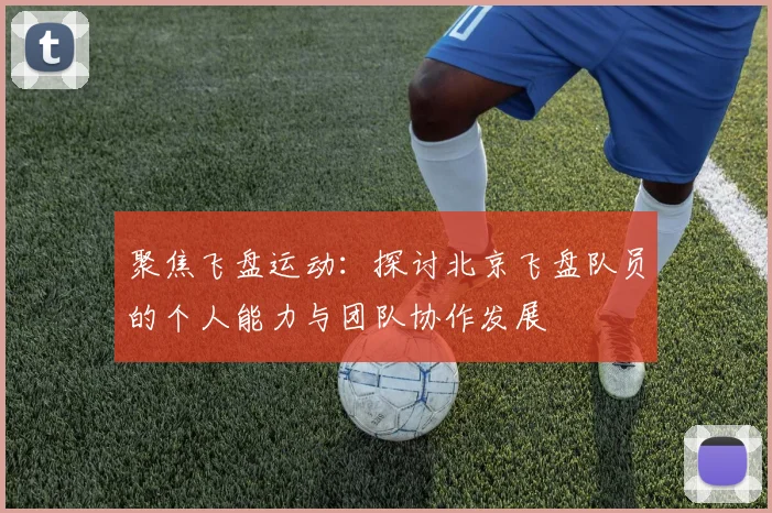 聚焦飞盘运动：探讨北京飞盘队员的个人能力与团队协作发展